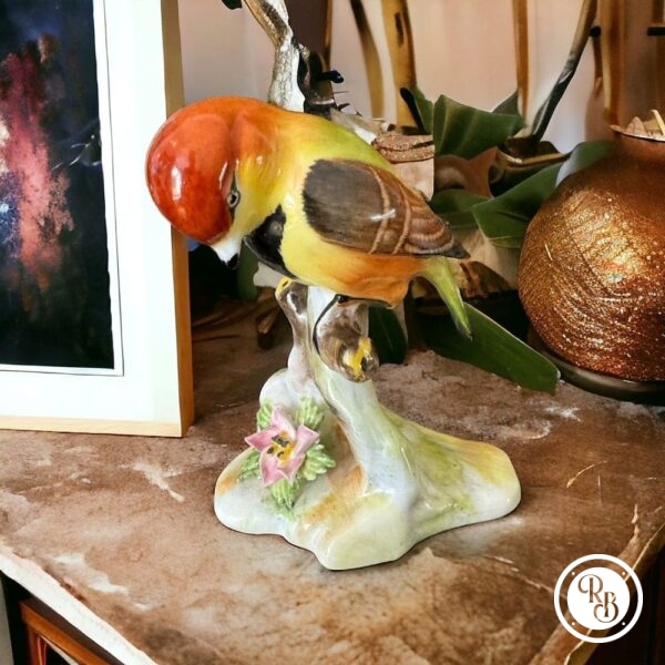 Figurine vintage d'oiseau Royal Adderley en porcelaine