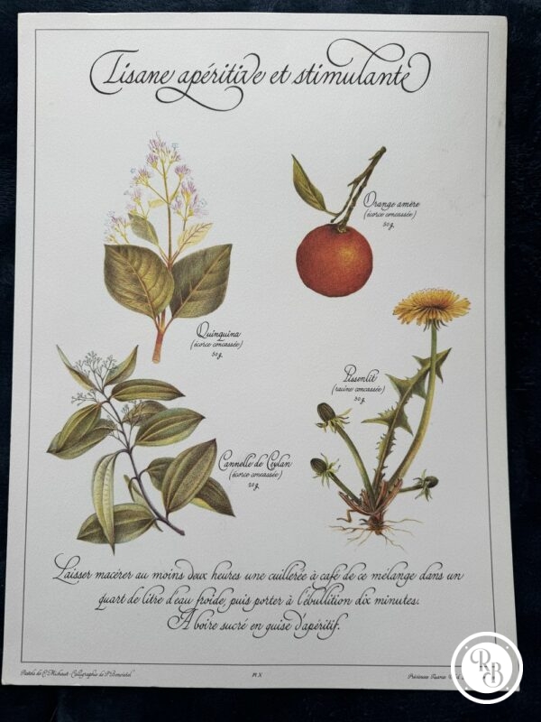 Lot de 9 Affiches/Planches - "Précieuses Tisanes" éditées en 1982 par L. Pariente - Pastels de Michaud et Calligraphie de Benoistel - Plantes médicinales - Botanique - Herboristerie - Naturopathie – Image 3