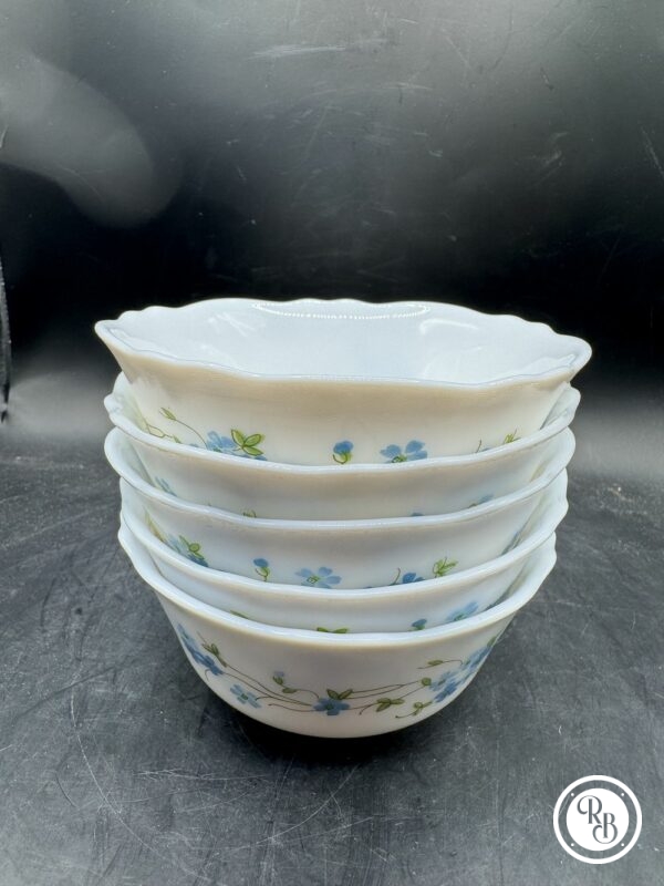 Ensemble/Lot de 5 anciens bols Arcopal - France - Série Véronica - Décor Myosotis - Des années 70 - Collection - Décoration - Vintage – Image 5