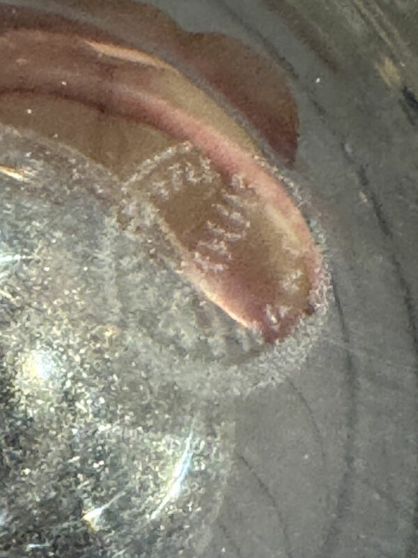 Rare - Vase en Cristal transparent - Cristallerie de Saint Louis - modèle Massenet - Décor gravé - Estampillé - Décoration - Collection – Image 3