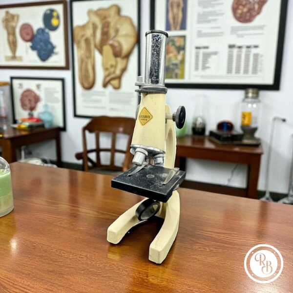 Ancien microscope pédagogique - Laboratoire - décoratif - Optico Paris - N. Boubée - Collection