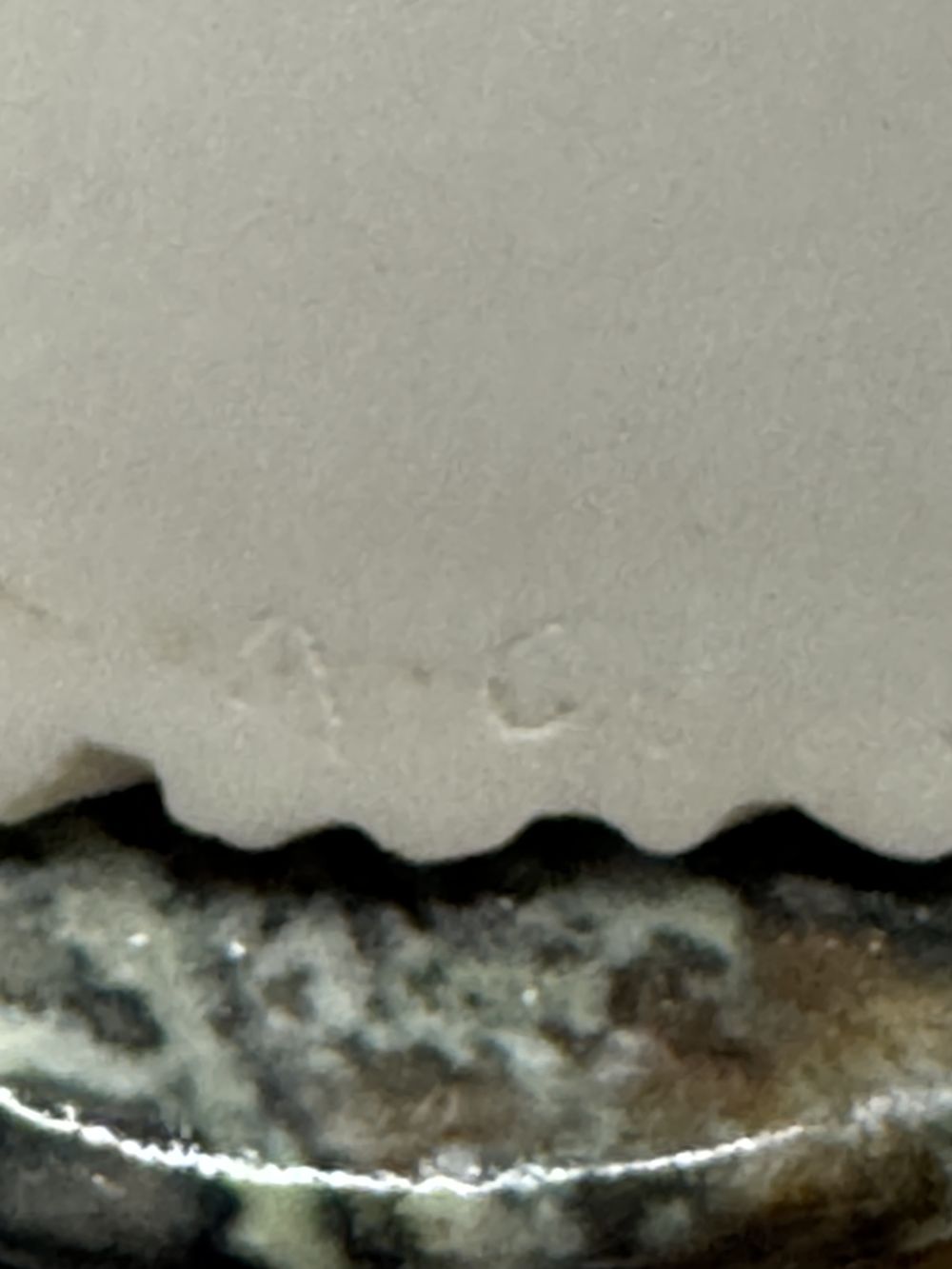 Rare Statuette/buste ancien représentant une tête de cheval - Signé par l'artiste italien A. Giannelli - Sur piédouche en marbre - Décoration - Collection – Image 7