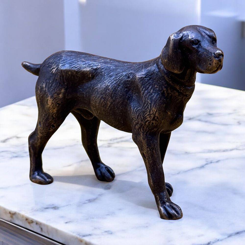 Rare statuette de chien - Labrador - En bronze - Pièce unique - belle patine - Collection - Décoration - Bronze animalier vers 1950