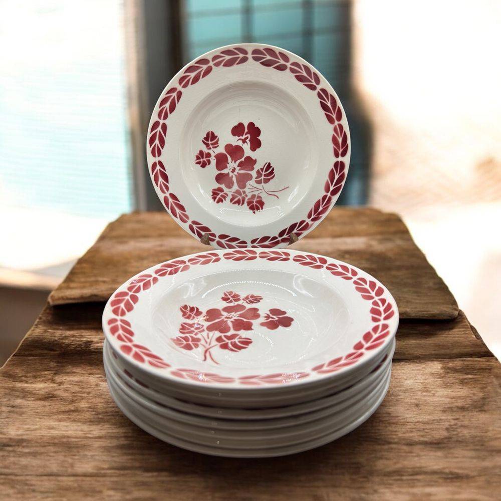 Lot/Ensemble du 19ème de 9 assiettes creuses - Décor de fleurs et feuillages rouges épousant la forme circulaire de l'assiette - Collection - Décoration