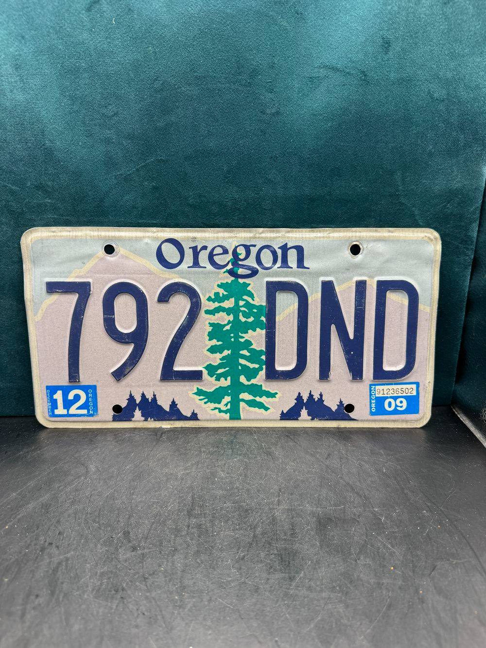 Vraie plaque originale d'immatriculation (en métal et relief) - Usa - Etats-Unis - Etat de l'Oregon - 2009 - Décoration murale pour garage - Collection – Image 2