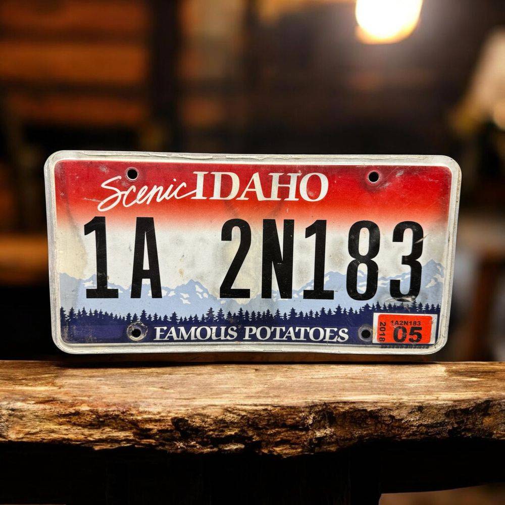 Vraie plaque originale d'immatriculation (en métal) - Usa - Etats-Unis - Etat de l'Idaho - 2005 - Blanche rouge et bleu - Décoration murale pour garage - Collection
