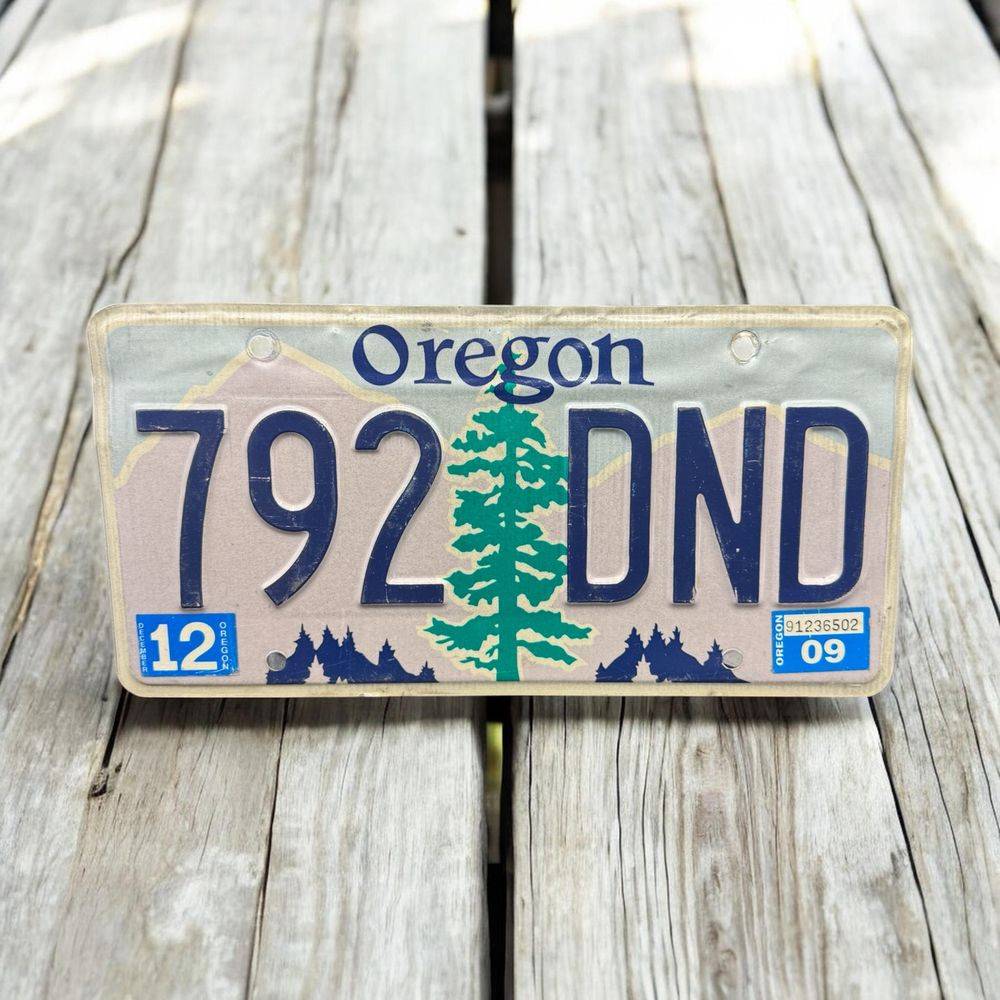 Vraie plaque originale d'immatriculation (en métal et relief) - Usa - Etats-Unis - Etat de l'Oregon - 2009 - Décoration murale pour garage - Collection