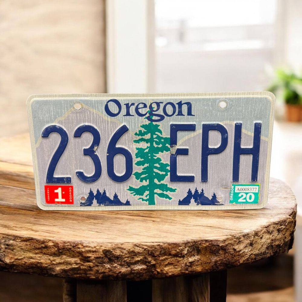 Vraie plaque originale d'immatriculation (en métal et relief) - Usa - Etats-Unis - Etat de l'Oregon - 2020 - Décoration murale pour garage - Collection