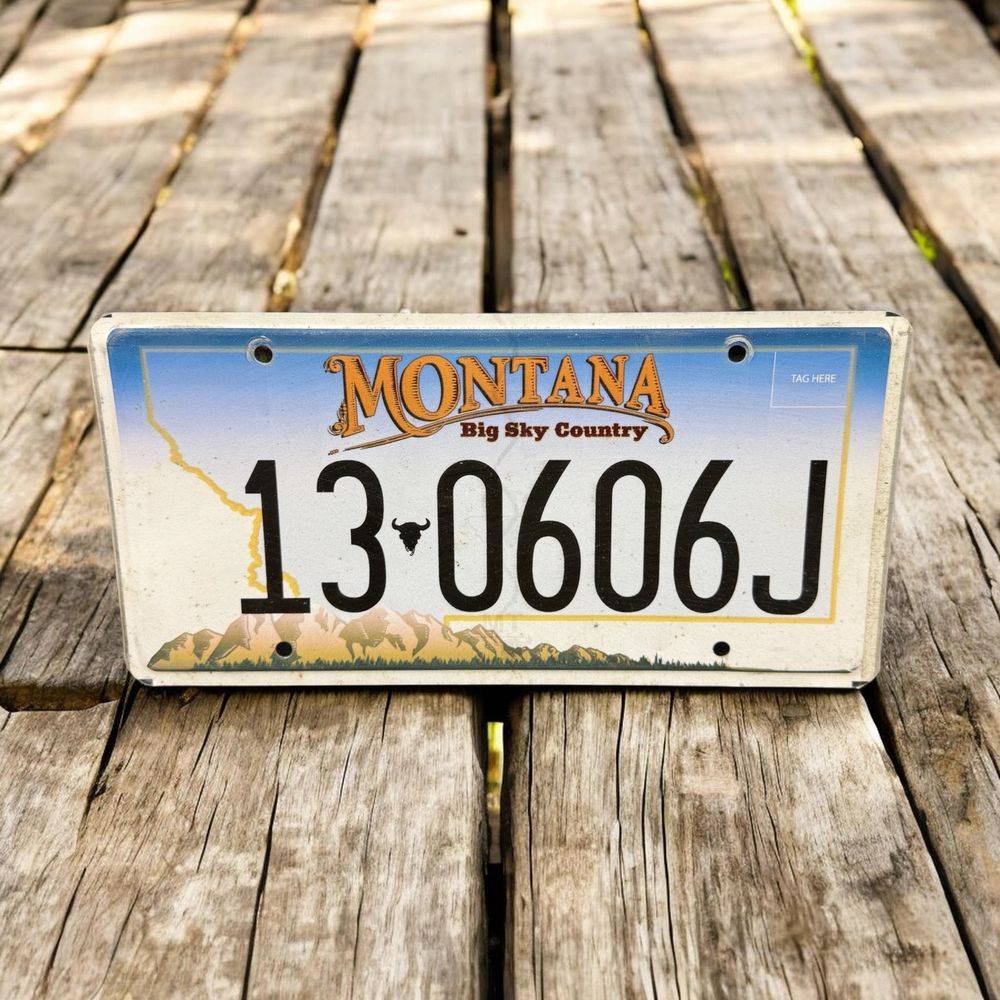 Vraie plaque originale d'immatriculation (en métal) - Usa - Etats-Unis - Etat du Montana - 2020 - Bleue - Décoration murale pour garage - Collection