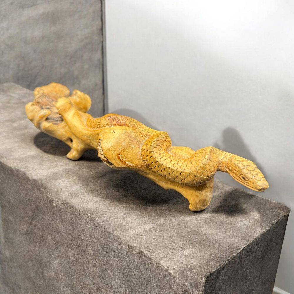 Unique pièce sculptée à la main à partir d'une seule pièce de bois parasite représentant ici un serpent - Vers 1970/80 - Indonésie - Décoration - Collection