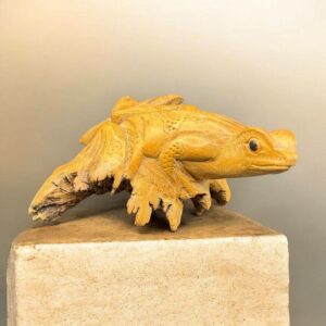 Unique pièce sculptée à la main à partir d'une seule pièce de bois parasite représentant ici une grenouille - Vers 1970/80 - Indonésie - Décoration - Collection