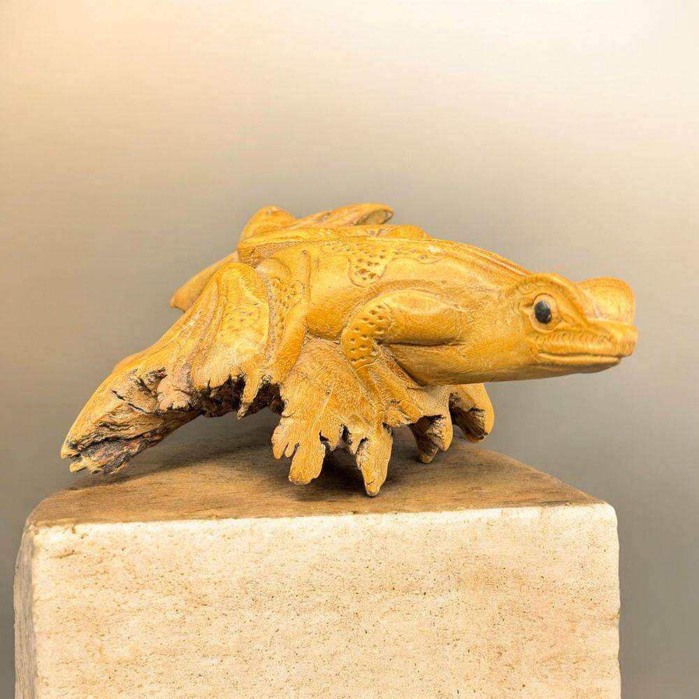 Unique pièce sculptée à la main à partir d'une seule pièce de bois parasite représentant ici une grenouille - Vers 1970/80 - Indonésie - Décoration - Collection