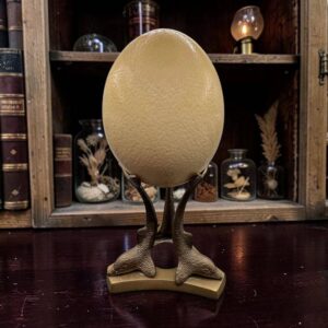 Rare Œuf d'autruche naturel sur son socle tripode avec dauphins en laiton - Des années 70 - Cabinet de curiosités - Collection - Décoration - Vintage